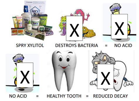  Xylitol -- Suuri makeuden salaisuus ja hampaiden ystävä?